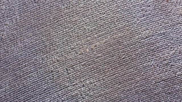 Aerial top down view of cotton field. Drone descending over cotton in South Carolina. 