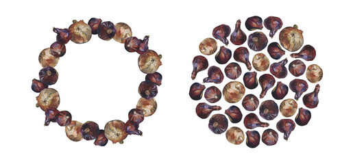 Wreath and round composition of red and yellow onion bulbs, isolated on white. Watercolour illustration. For cards, invitations, labels, menu, recipe, cookbook and packaging design.
