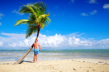 Man in Santa Hat relaxing and green palm on the caribbean beach.