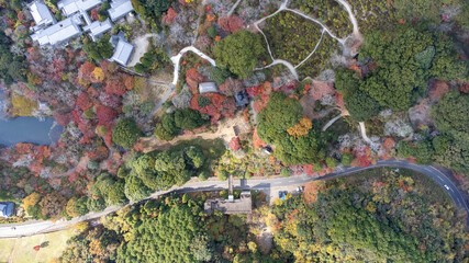 御船山楽園【佐賀県武雄市】
