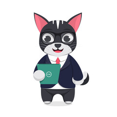 Cute cat looking at tablet, white background