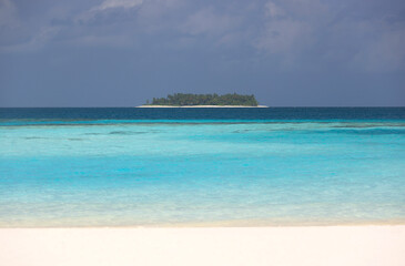 Idyllic Beach with Palm Trees at the Maldives, Indian Ocean
