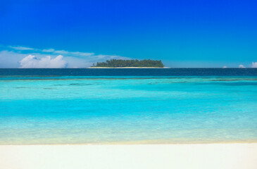 Idyllic Beach with Palm Trees at the Maldives, Indian Ocean