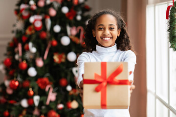 Black Girl Holding And Giving Christmas Gift At Home