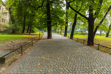 Fototapeta na wymiar Beautiful avenue in to the park, path way.
