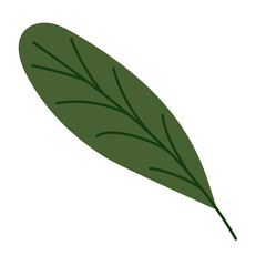 nice green leaf