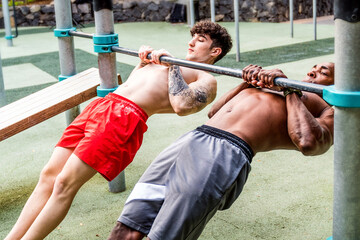 Obraz premium Two friends doing workout together outdoor. Fitness, sport, exercising, training, calisthenics