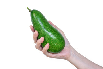 woman hand holding green Avocado Isolated on white background