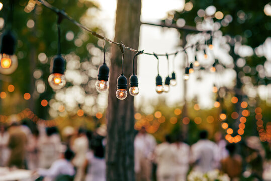 Decorative outdoor string light bulb hanging on tree in party wedding ceremony garden