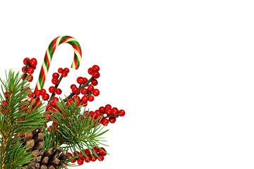 Pine twigs, red berries with cones and Christmas sweet stick isolated on white