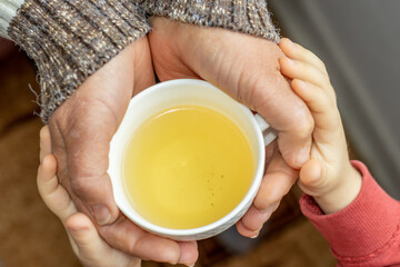 granny,senior woman in striped sweater pullover holds pouring herbal green plant tea from a transparent glass kettle.granny and nephew hands palms holding cup with herbal tea. white ceramic cup. cozy 