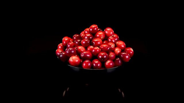 Cranberries  in a black bowl, on a black background. Ripe and organic red cranberries rotating on a black background. 