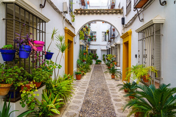Fototapeta na wymiar Picturesque alley of white houses with flowerpots, plants and flowers in the city of Cordoba, Spain.