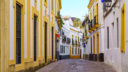 Fototapeta na wymiar Panoramic view of narrow alley with colorful houses in the tourist town of Cordoba, Spain.