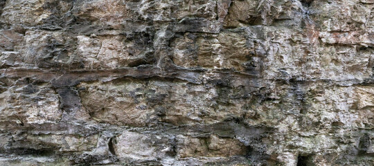 Stone Texture Close Up