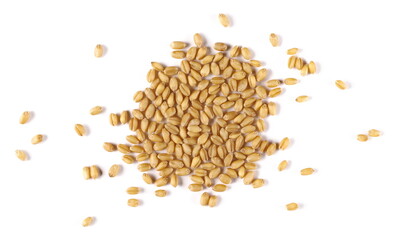 Wheat kernels, grains pile isolated on white background, top view