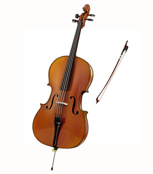 violoncello (cello)