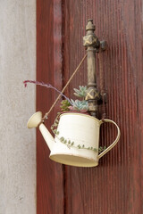small watering can with a succulent seedling hanging from a door