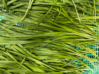 After washing the edible green onions to be used for cooking in water