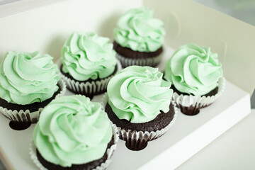 confectioner decorates cupcakes, homemade cooking, sweets. green cream