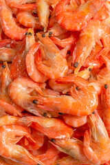Shrimps background texture. A lot of shrimps. Cooked shrimps.