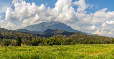 Fototapeta premium View on Tropical Rain forest with forest,mountain and perfect blue sky on the background.Doi Chiang Dao.