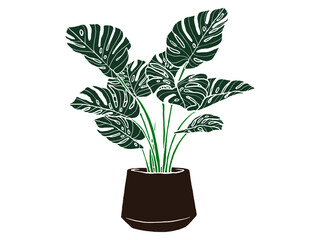 Hand drawn monstera. Indoor plant in a Jar. Scandinavian style illustration with monstera, modern and elegant home decor. Vector poster design.