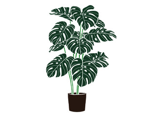 Hand drawn monstera. Indoor plant in a Jar. Scandinavian style illustration with monstera, modern and elegant home decor. Vector poster design.