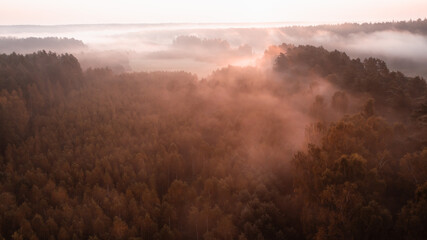 Sunrise in the National Park "Ugra"