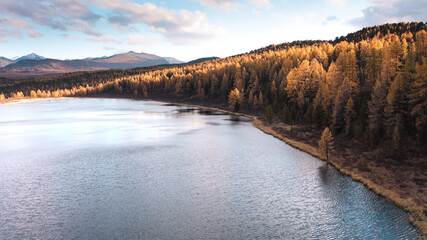 Obraz premium Golden autumn of Altai Republic