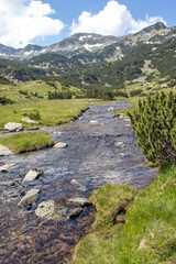 Fototapeta na wymiar Landscape of Pirin Mountain near Banderitsa River, Bulgaria