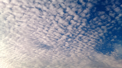 ひつじ雲と飛行機