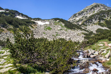 Landscape of Pirin Mountain near Banderitsa River, Bulgaria