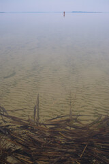 Blurred image of the sandy bottom of Lake Svityaz, Ukraine on a foggy day. In the distance a silhouette of a happy lonely man swimming in clear water. Vertical image. 