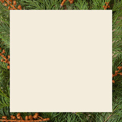 Creative layout made of plants and leaves. Christmas decoration. Nature and holidays concept. Floral Greeting card. Green background with paper card note. Nature Trendy Decorative Design. Evergreen	