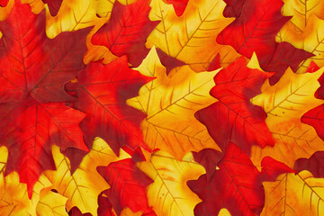 Naklejka na ściany i meble Red and yellow autumn leaves fall background
