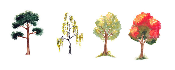 A set of watercolor trees. Hand drawn illustration.
