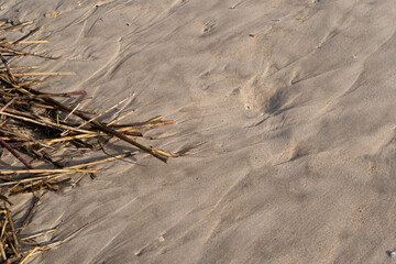 Beach sand striations, colors, patterns