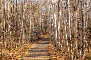 The trail to the Silver Peak  parking lot. Shot from the LaCloche Trail in Killarney Provinvcial Park, Ontario Canada.