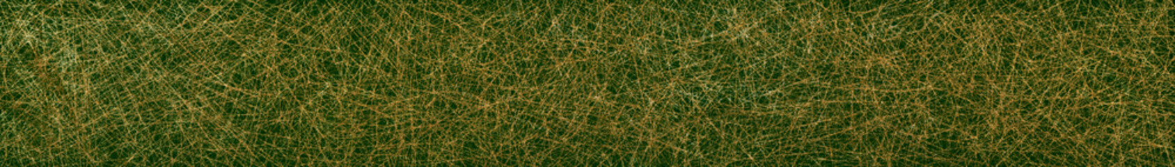 Golden web on a green canvas, golden threads, bacground, seasonal