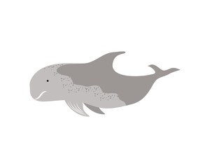 whale animal icon