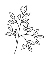 Hand drawn branch with leaves. Doodle vector illustration. Isolated icon on the white background. EPS 10.