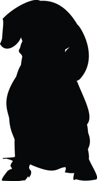 recommend clip art: Dachshund Dog Silhouette SVG Dachshund Dog Breed Clipart