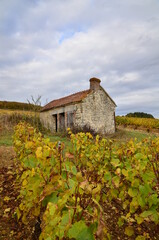 ABRI DE VIGNERON VIGNES DE CHABLIS GRAND CRU VAUDESIR