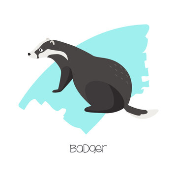 Badger in the background with a brushstroke. Vector image of a flat animal. Isolated on white background