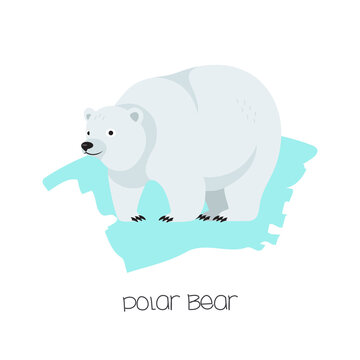 Polar bear on the background with a brushstroke. Vector flat image of an animal. Isolated on white background