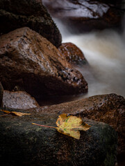 Waterfall on river Ilse in forest Harz, Germany