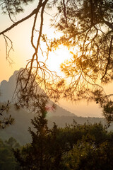 Scenic view of mountains against sky during sunset,through trees .