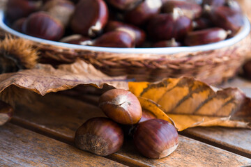 delicious organic and natural chestnuts on wooden background