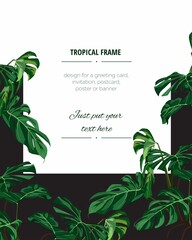 Botanical vertical banners with tropical fan palm on black. Design for cosmetics, spa, health care products, travel company. Can be used as summer background.